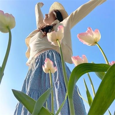 坦途